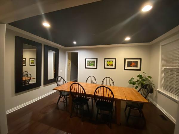 RDP Pro Paint