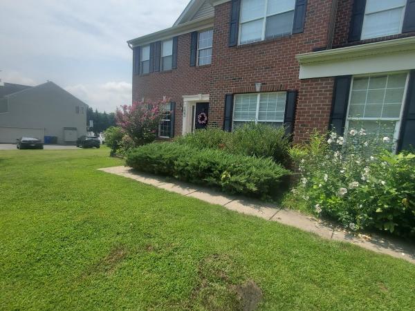 Wade's Lawn Care