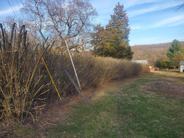Wade's Lawn Care