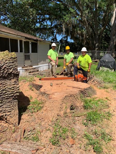 A & R Tree Service