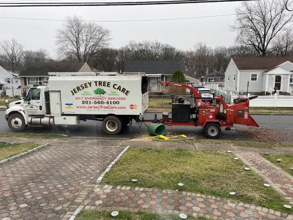 Jersey Tree Care Llc