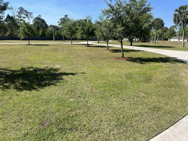 Doug Scott Lawn Maintenance