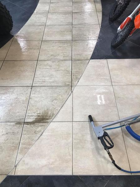 Steam Kings Carpet and Upholstery Care