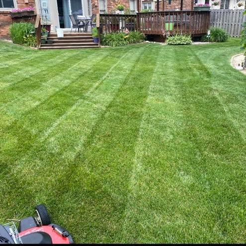 DJ Wyatt's Landscaping LLC