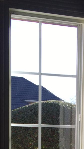 Nortex Windows