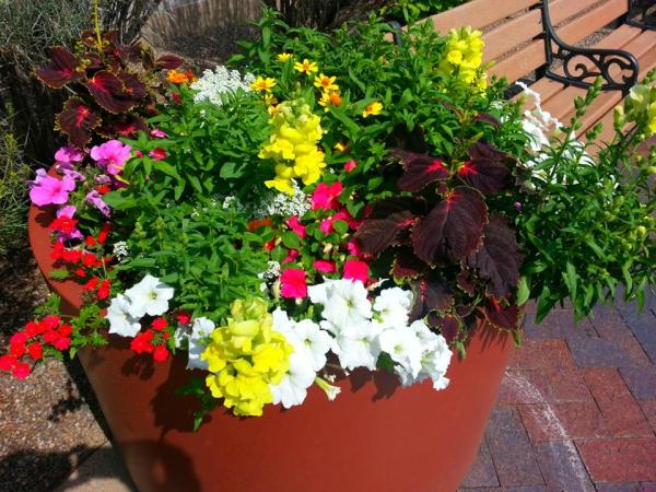 Proscape Landscape Management