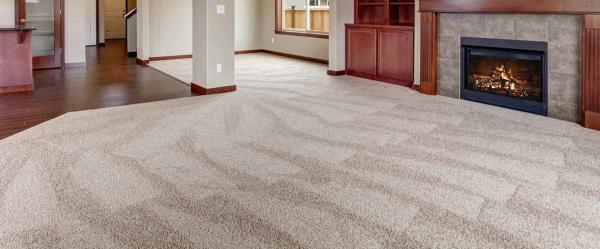 Dri Touch Carpet Cleaning
