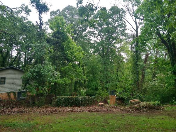 GT Tree Experts