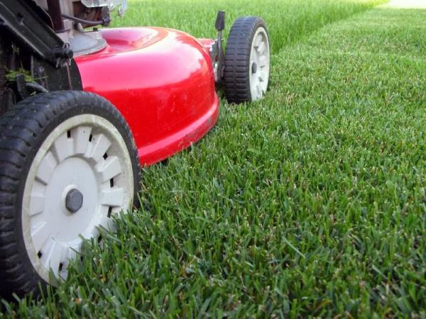 Three Oaks Lawn Maintenance