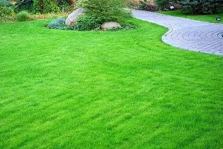 Three Oaks Lawn Maintenance