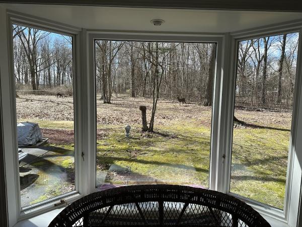 Hallman Window Washing