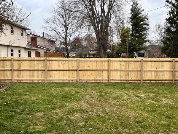 Elevated Fence