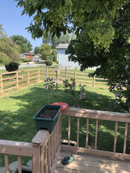 Elevated Fence