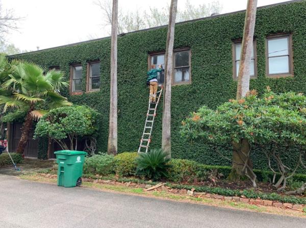 Blue Moon Window Cleaning