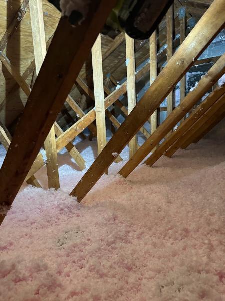 Critter Inspector Removal and Repair