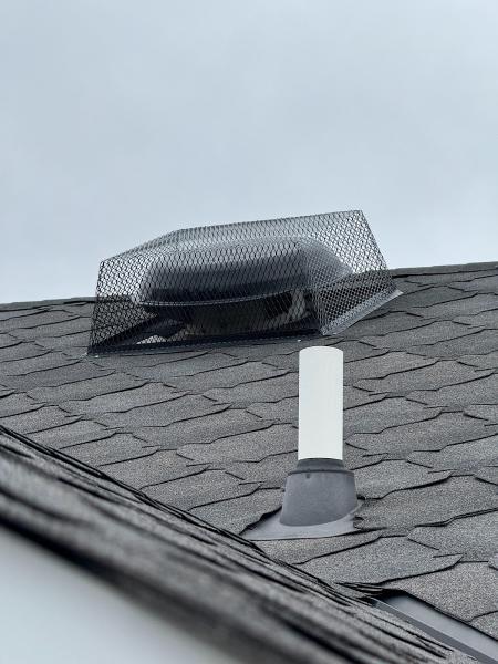 Critter Inspector Removal and Repair