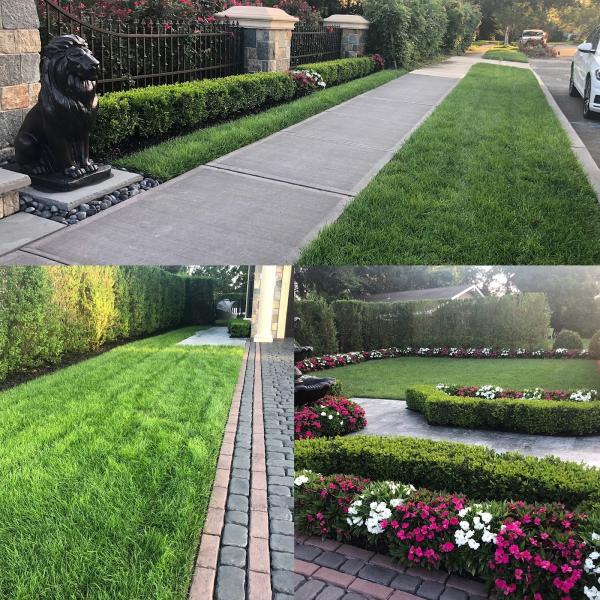 Long Island Lawn Whisperer