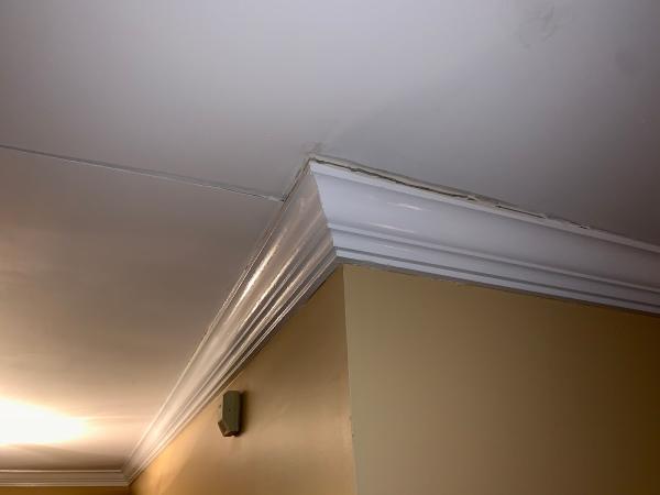 Thomas Waterproofing