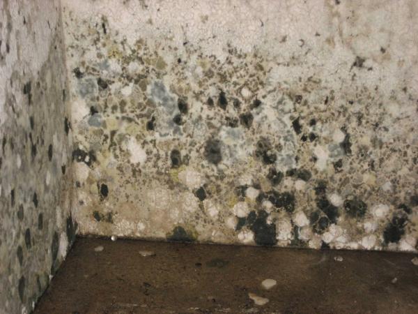 Jersey Dry Waterproofing