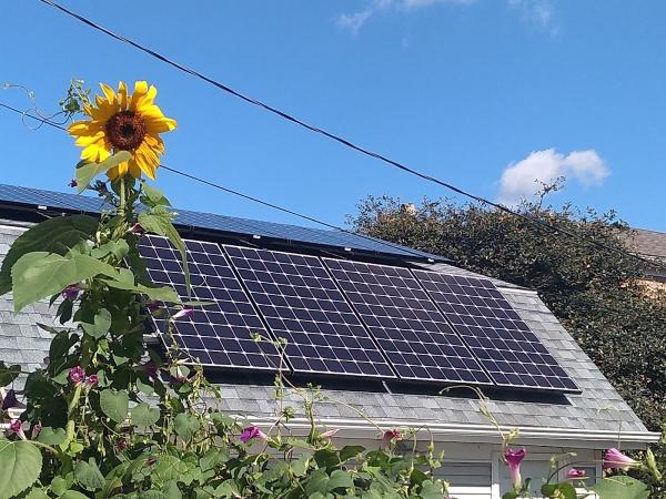 Earth Wind & Solar Energy LLC
