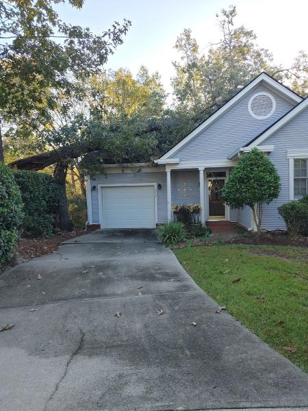 Davis Tree Company Inc.