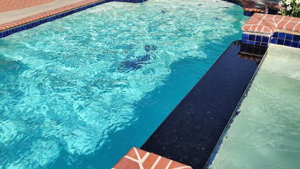 Dillard Pools