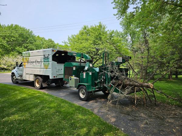 Wise Owl Tree Company