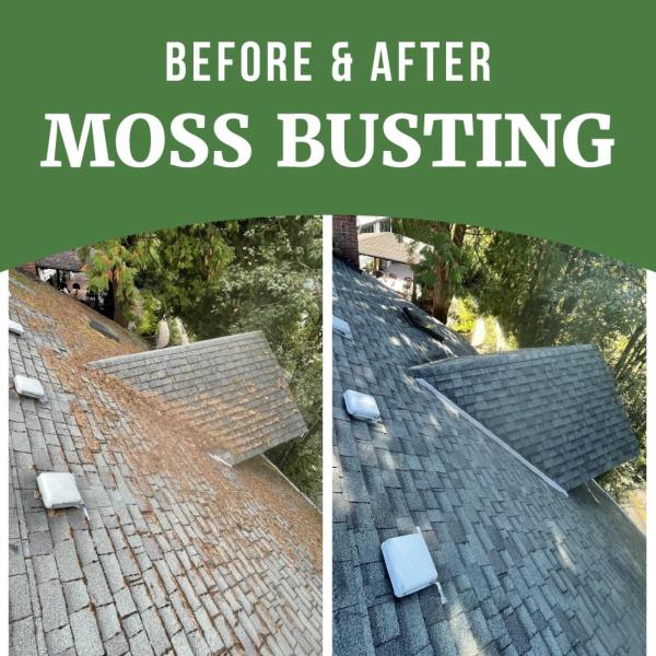 Moss Busters