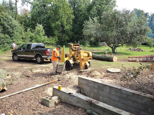 Taylor Tree & Stump Removal