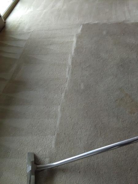 Bright Carpet