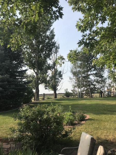 Budget Tree Service