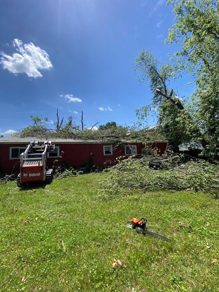 Fields Tree Service