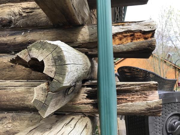 American Log Restoration Inc