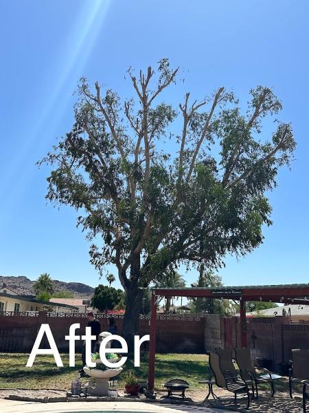 Techer's Tree Service