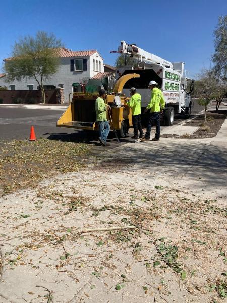 Techer's Tree Service