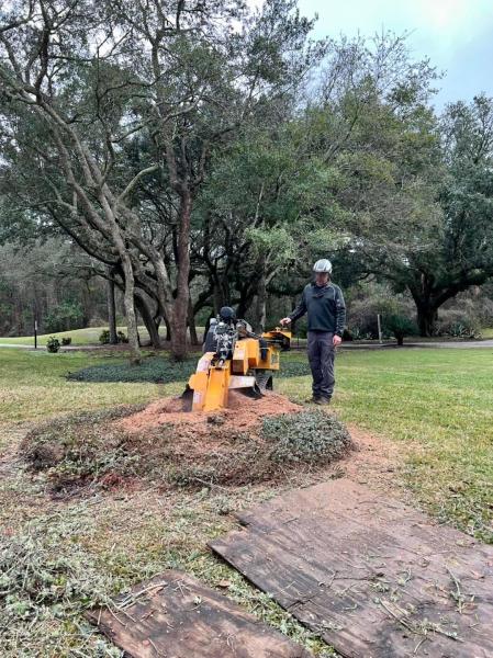Treeworks LLC