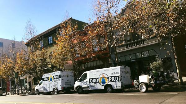 Oro Pro Plumbing