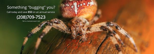 A Spiderman Pest Control LLC