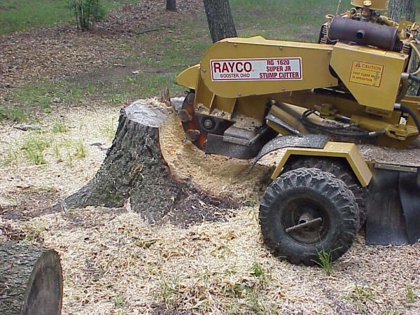 Get R Done Stump Removal