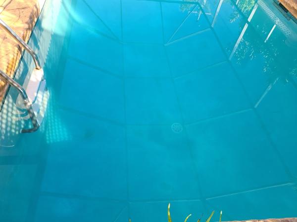 Lily Pads Pool Service
