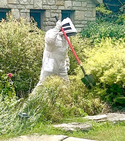 Central Ohio Bug Extermination