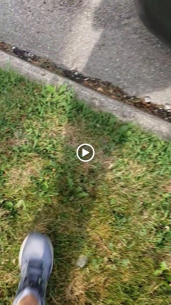 Central Ohio Bug Extermination