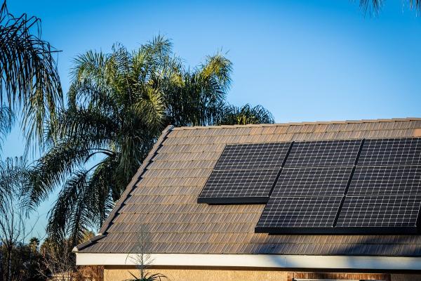 Palm River Electric