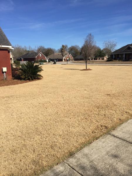 Xtreme Turf Lawn Care