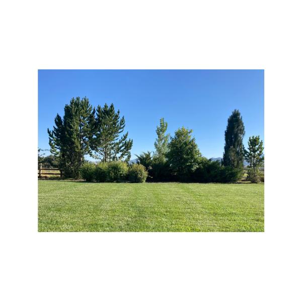 Spring Pest and Lawn