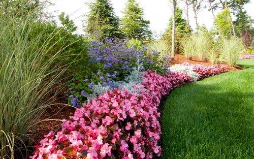 Vivid Landscape LLC