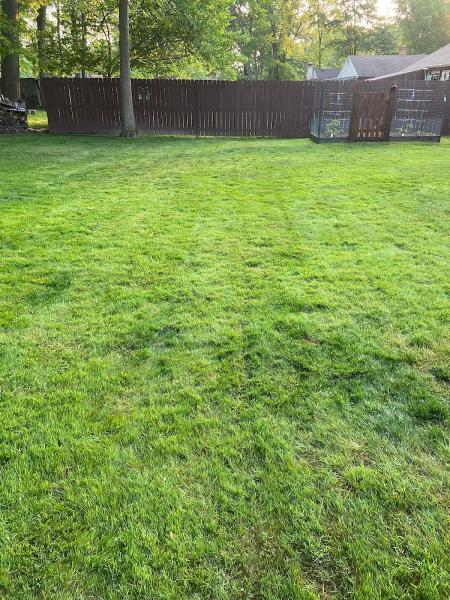 Seasonal Yard Work and Landscaping Inc.