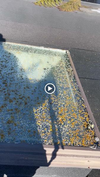 Miller's Pressure Washing