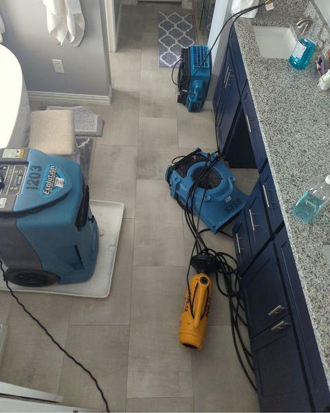 Dry Force Water Removal Specialists