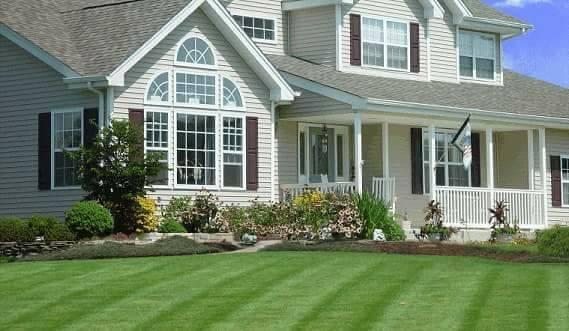 N S Lawn Care and Maintenance